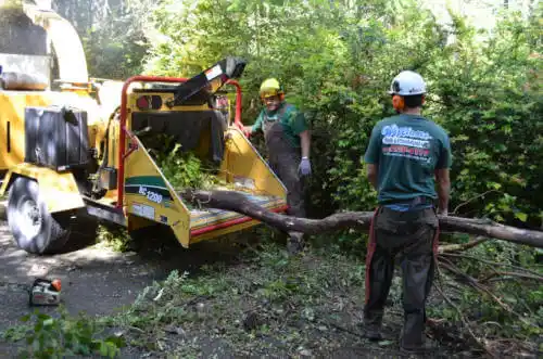 tree services Mead